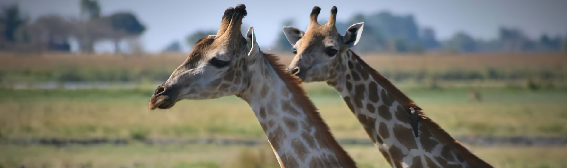 Botswana