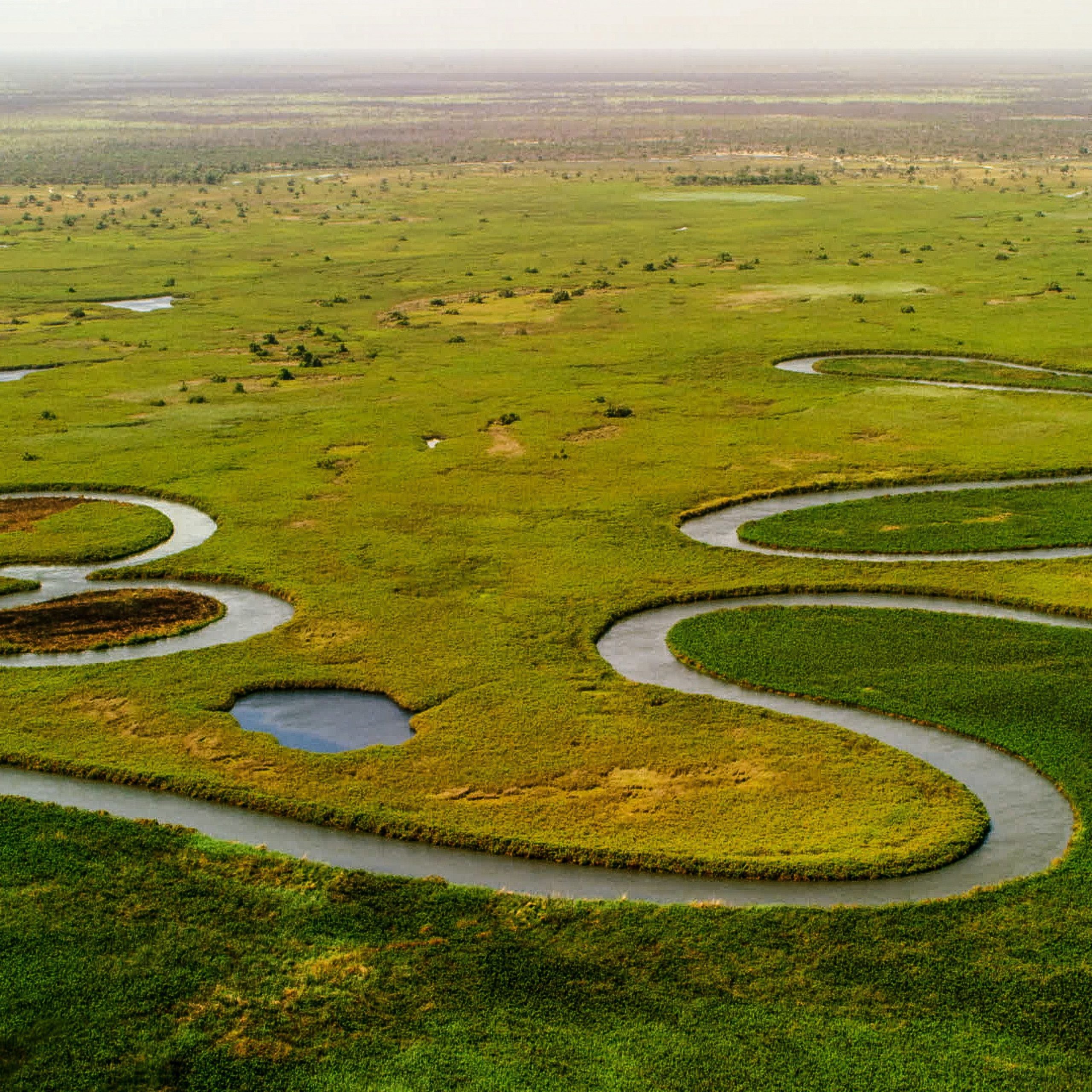 Okavango